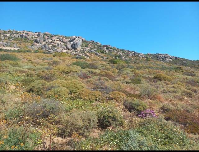 LAND FOR SALE IN ST HELENA VIEWS